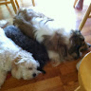 Meet your Posher, Kaylin